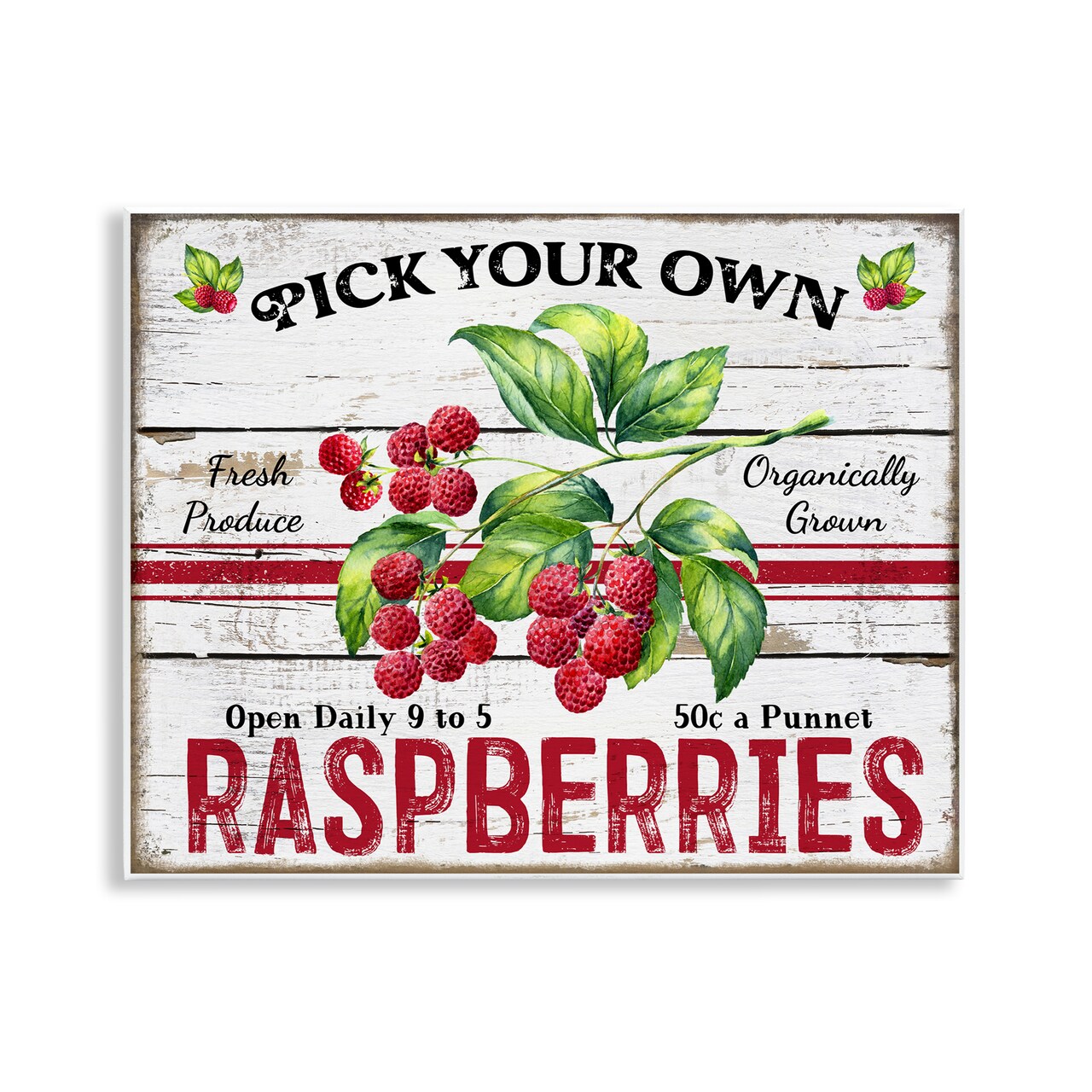 Stupell Industries Pick Your Own Raspberries Wall Plaque Art Design by Creatif Belle
